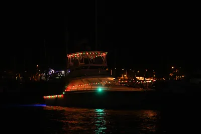 DSC_2513 (Large).JPG